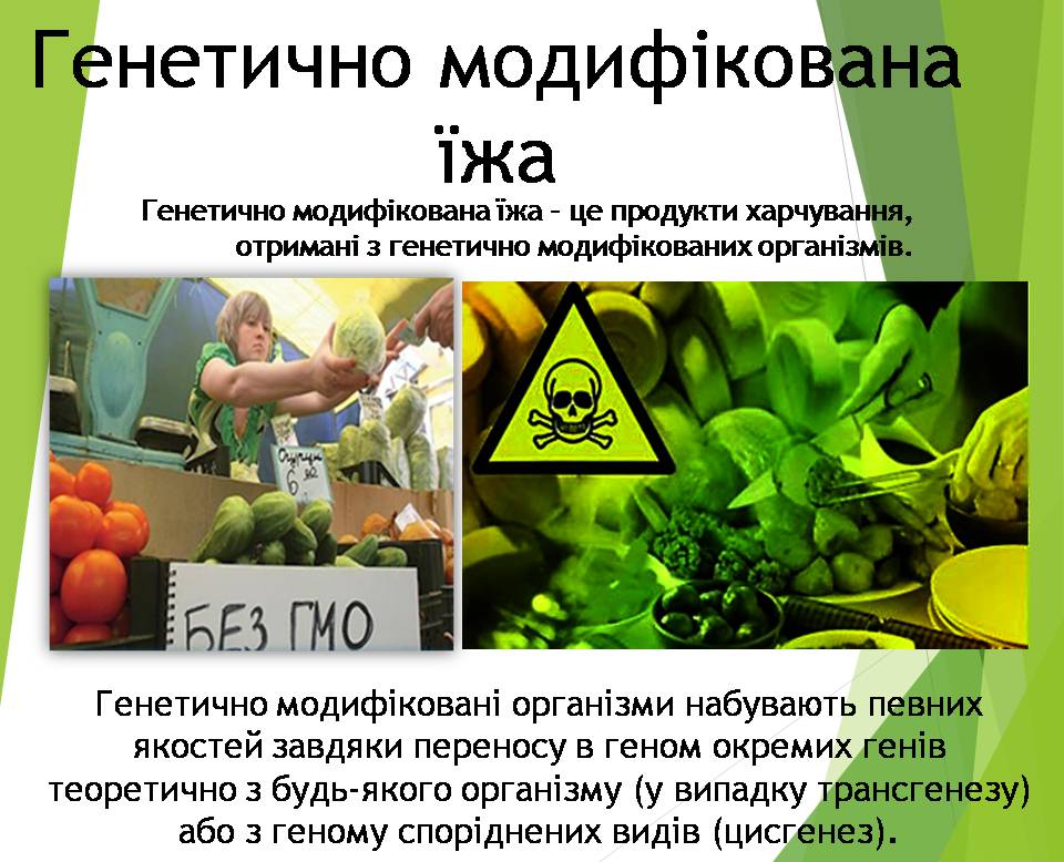 Презентація на тему «Генно модифіковані організми. Химерні організми» - Слайд #8