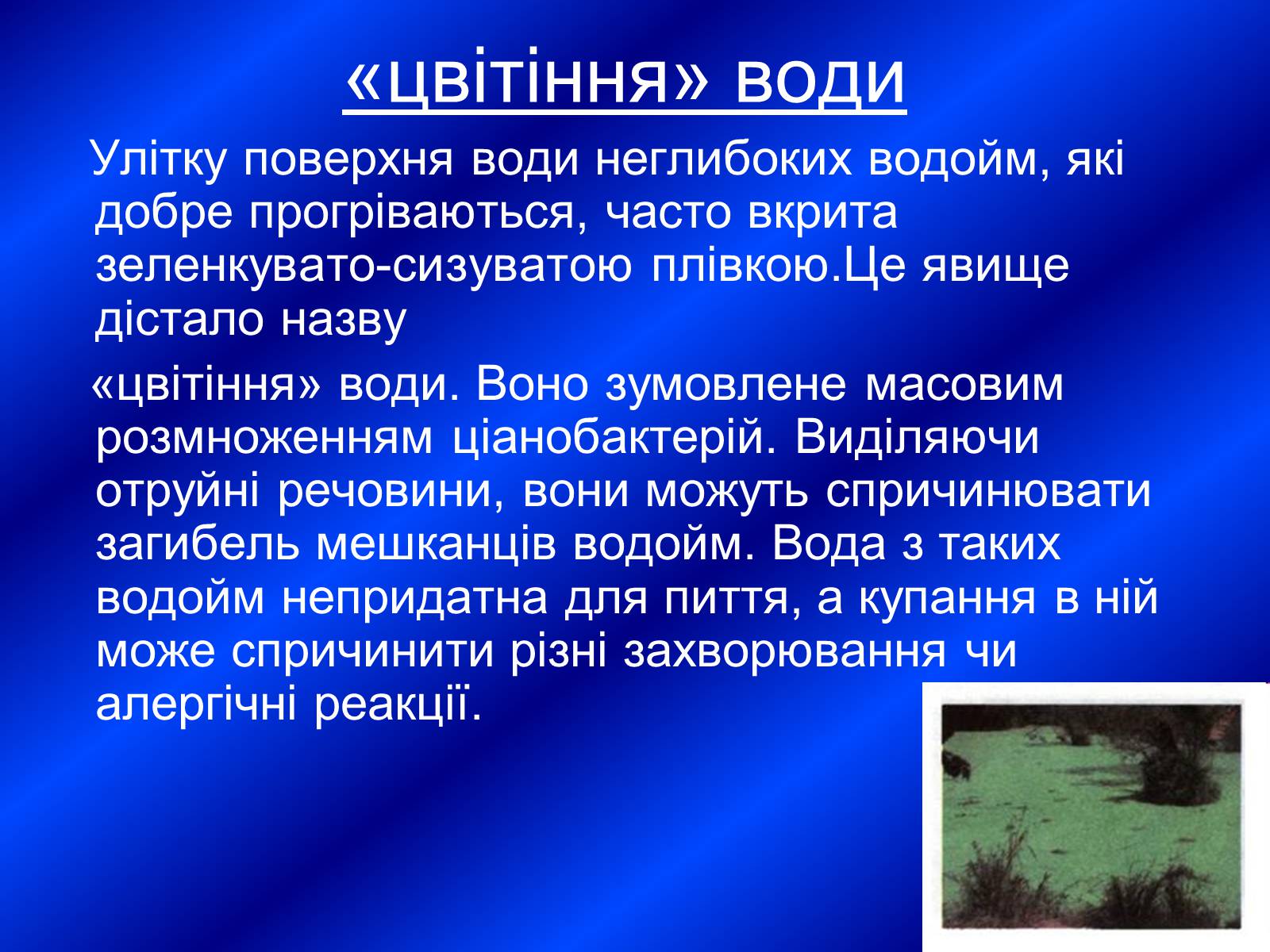 Презентація на тему «Значення бактерій» - Слайд #12 Презентація на тему «Значення бактерій» - Слайд #12