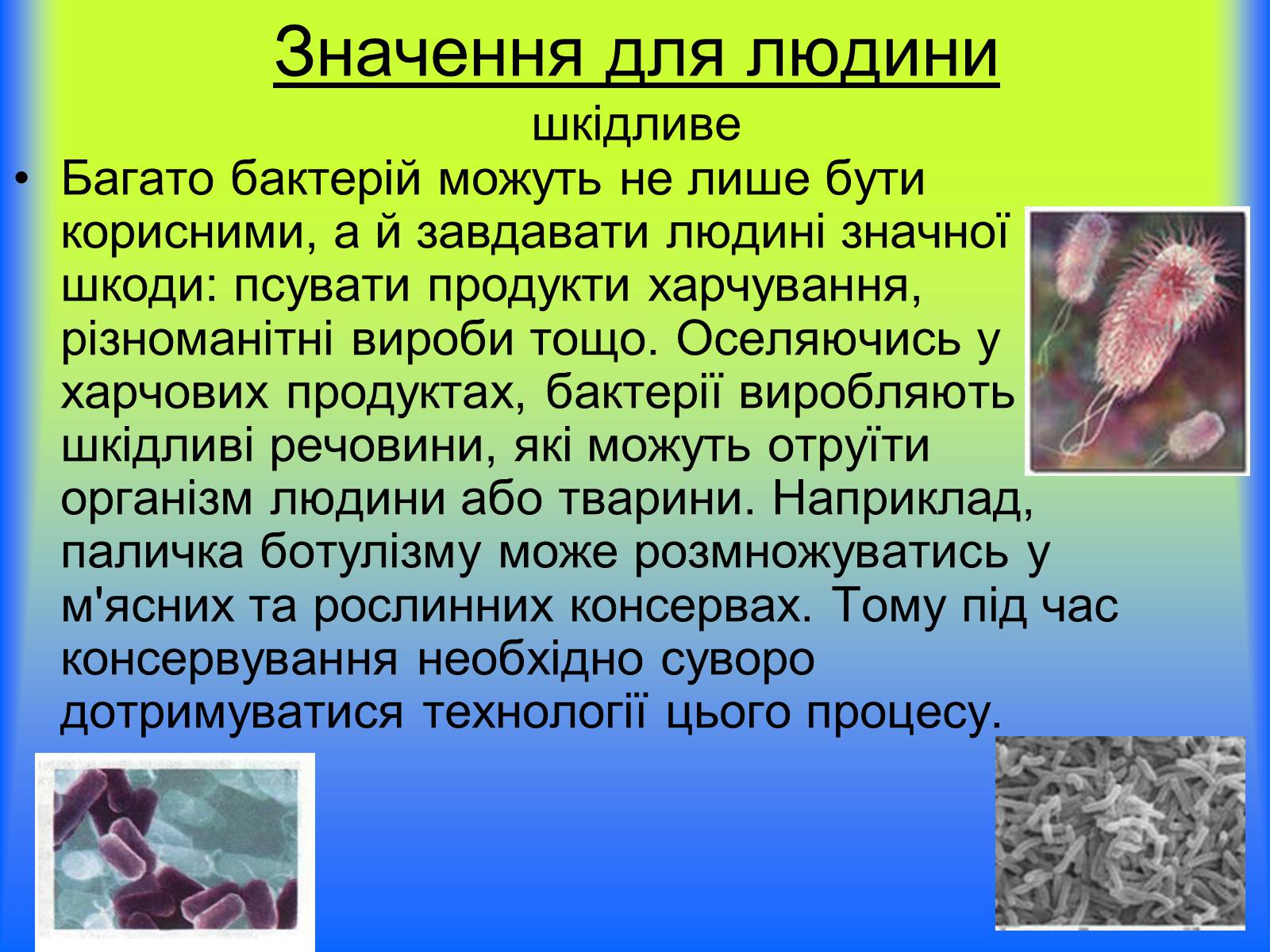 Презентація на тему «Значення бактерій» - Слайд #4 Презентація на тему «Значення бактерій» - Слайд #4