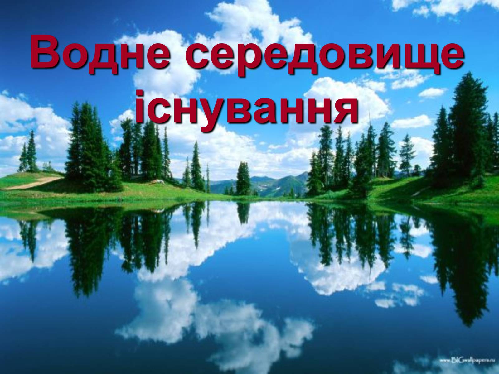 Презентація на тему «Водне середовище» (варіант 1) - Слайд #1 Презентація на тему «Водне середовище» (варіант 1) - Слайд #1