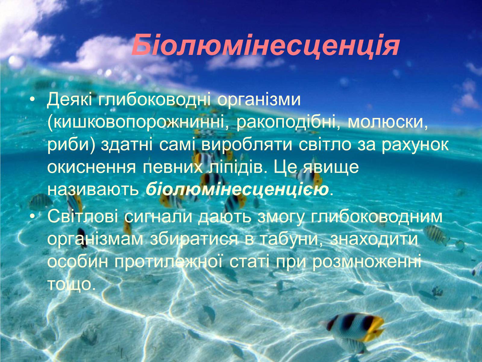 Презентація на тему «Водне середовище» (варіант 1) - Слайд #13 Презентація на тему «Водне середовище» (варіант 1) - Слайд #13