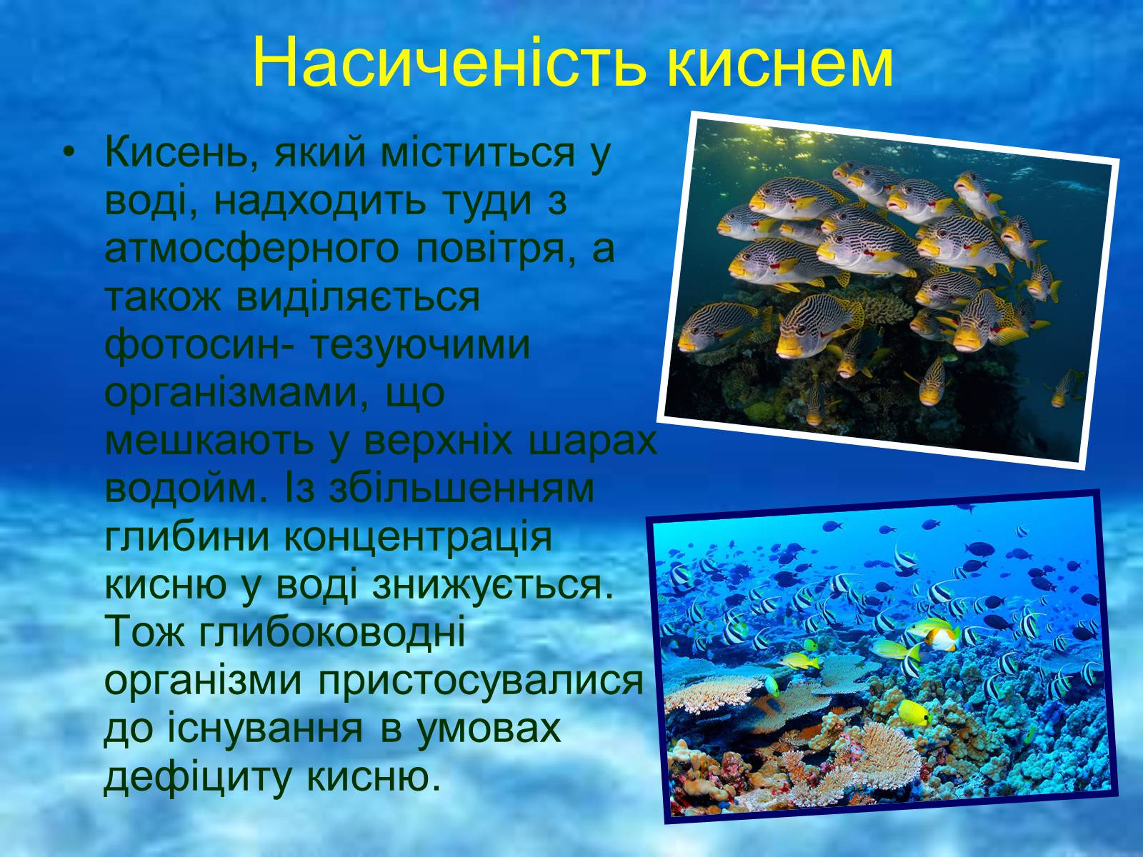 Презентація на тему «Водне середовище» (варіант 1) - Слайд #16 Презентація на тему «Водне середовище» (варіант 1) - Слайд #16