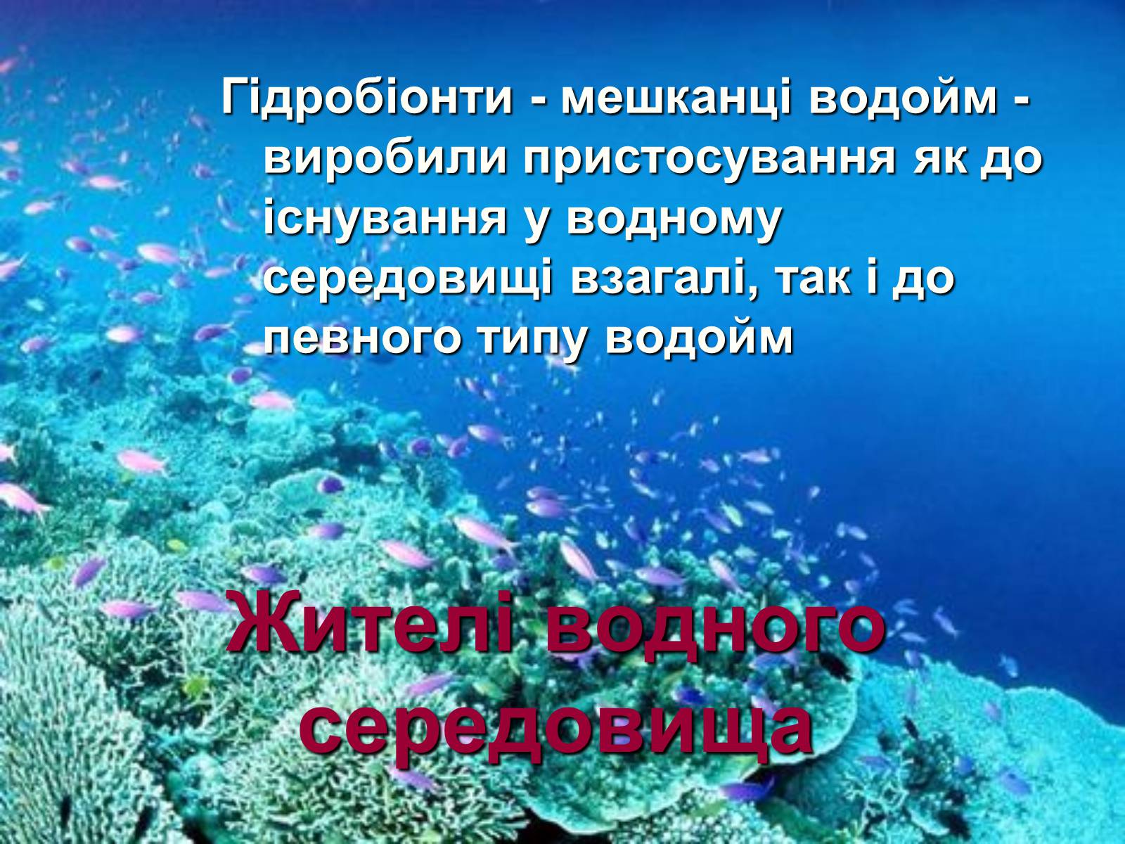 Презентація на тему «Водне середовище» (варіант 1) - Слайд #3 Презентація на тему «Водне середовище» (варіант 1) - Слайд #3