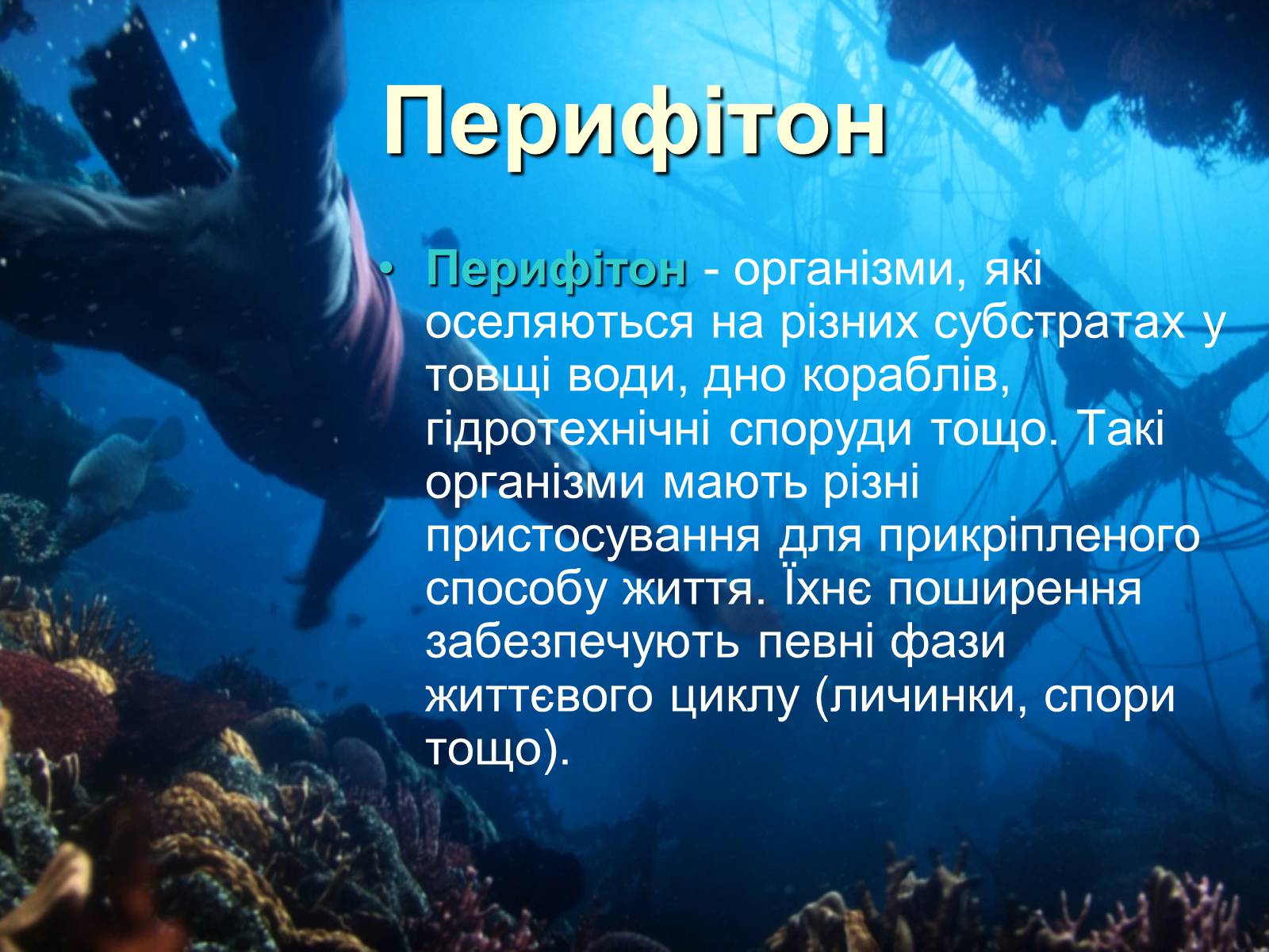 Презентація на тему «Водне середовище» (варіант 1) - Слайд #8 Презентація на тему «Водне середовище» (варіант 1) - Слайд #8