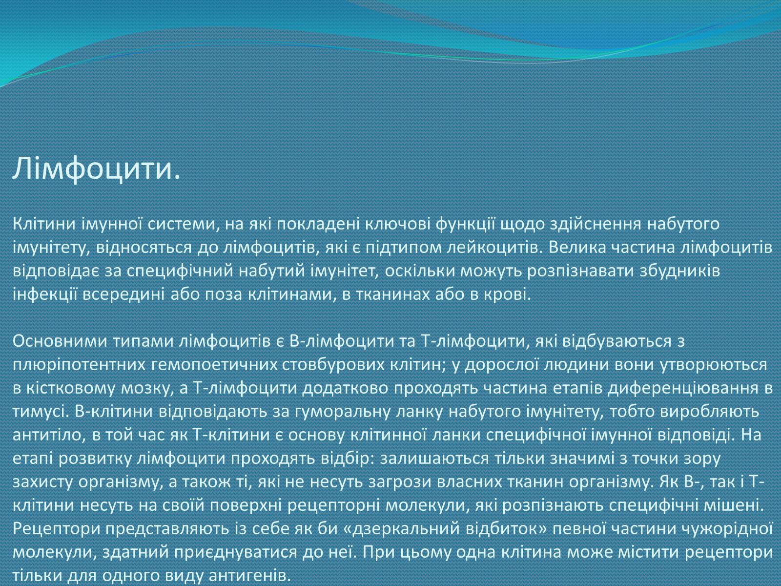 Презентація на тему «Імунна система» - Слайд #4 Презентація на тему «Імунна система» - Слайд #4