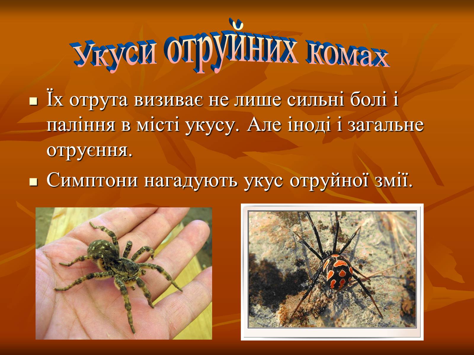 Презентація на тему «Укуси отруйних змій» (варіант 2) - Слайд #5 Презентація на тему «Укуси отруйних змій» (варіант 2) - Слайд #5