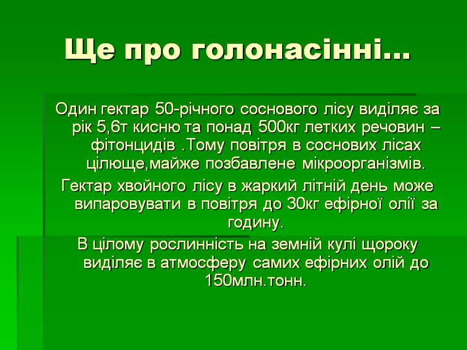 Презентація на тему «Голонасінні» (варіант 1) - Слайд #12 Презентація на тему «Голонасінні» (варіант 1) - Слайд #12