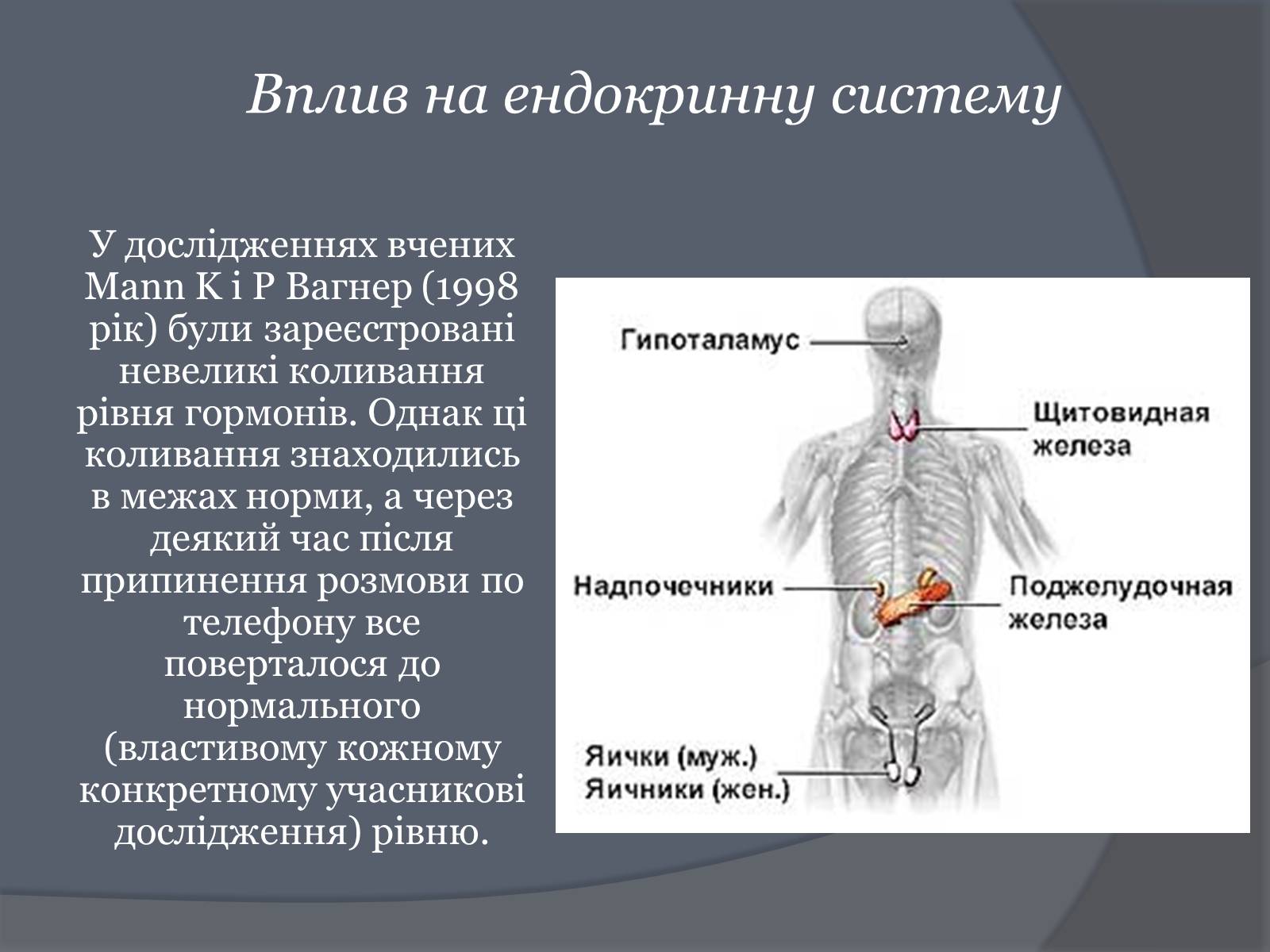 Презентація на тему «Вплив Мобільного телефону на здоров’я людини» - Слайд #38 Презентація на тему «Вплив Мобільного телефону на здоров’я людини» - Слайд #38