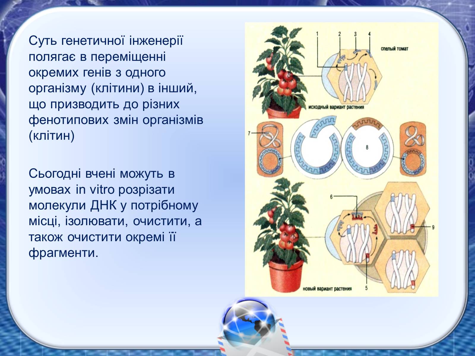 Презентація на тему «Генна інженерія та генна терапія» - Слайд #5 Презентація на тему «Генна інженерія та генна терапія» - Слайд #5