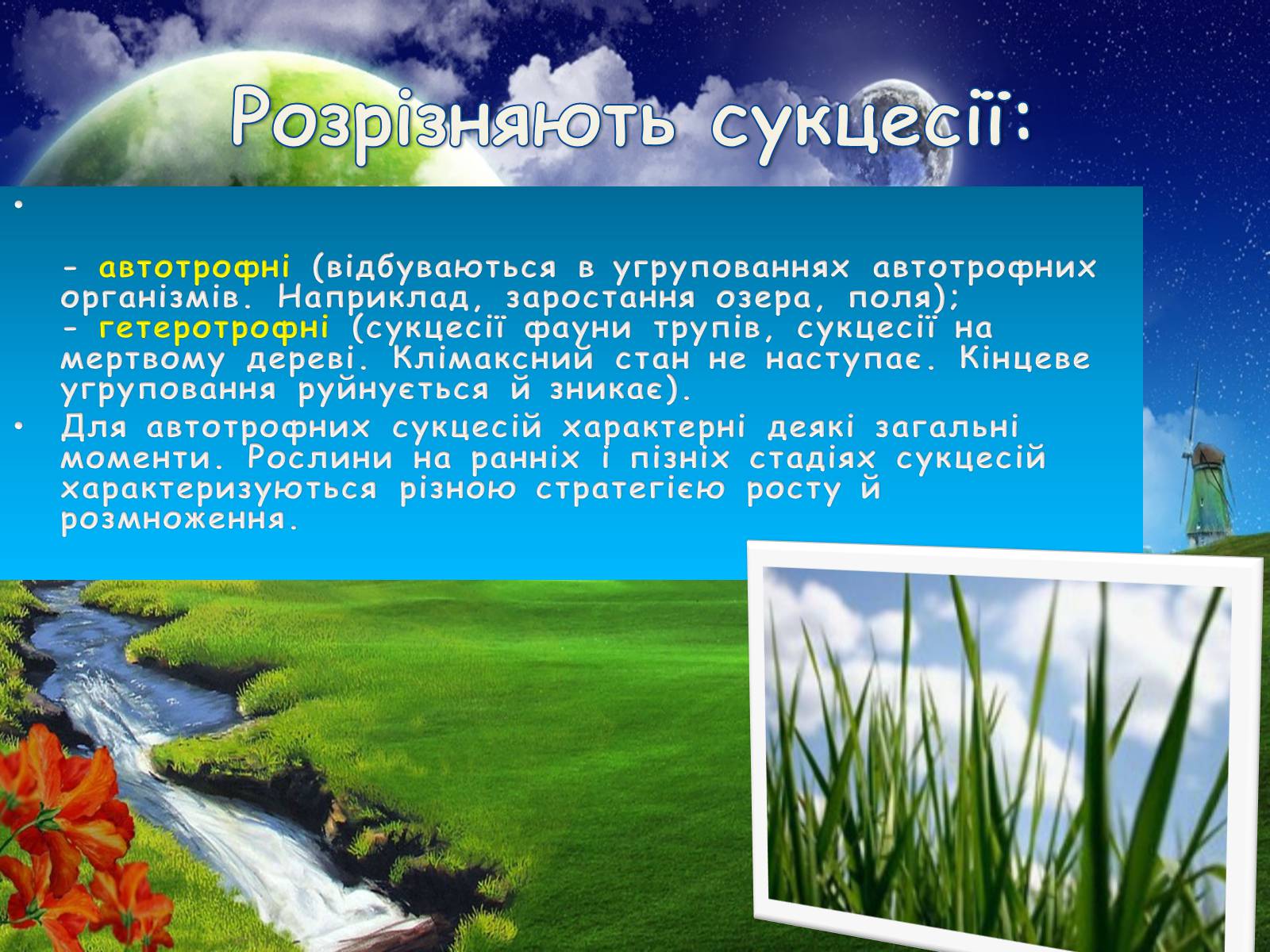Презентація на тему «Стійкість і динаміка екосистем» - Слайд #10 Презентація на тему «Стійкість і динаміка екосистем» - Слайд #10