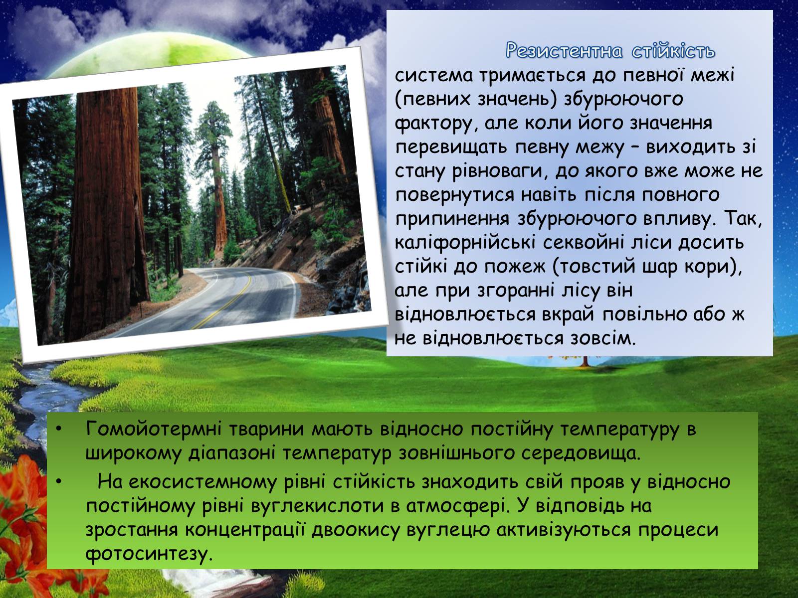 Презентація на тему «Стійкість і динаміка екосистем» - Слайд #4 Презентація на тему «Стійкість і динаміка екосистем» - Слайд #4
