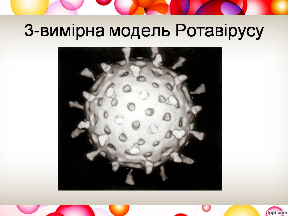Презентація на тему «Віруси та їхня будова» - Слайд #13 Презентація на тему «Віруси та їхня будова» - Слайд #13