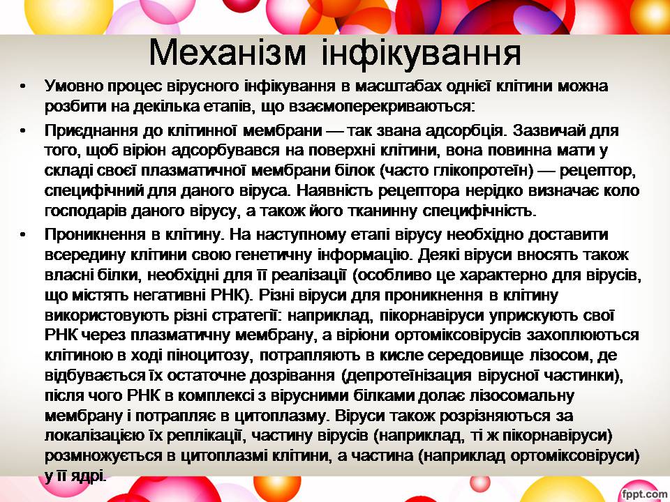 Презентація на тему «Віруси та їхня будова» - Слайд #6 Презентація на тему «Віруси та їхня будова» - Слайд #6
