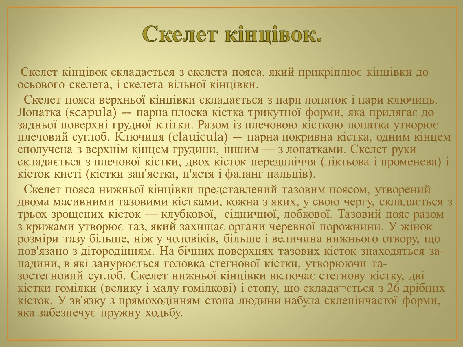Презентація на тему «Будова та функції скелету людини» - Слайд #18 Презентація на тему «Будова та функції скелету людини» - Слайд #18