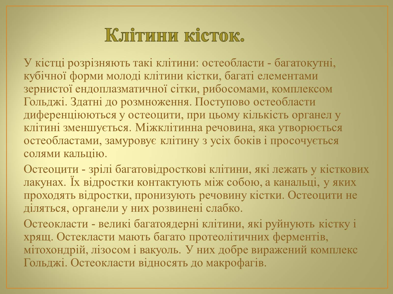 Презентація на тему «Будова та функції скелету людини» - Слайд #4 Презентація на тему «Будова та функції скелету людини» - Слайд #4