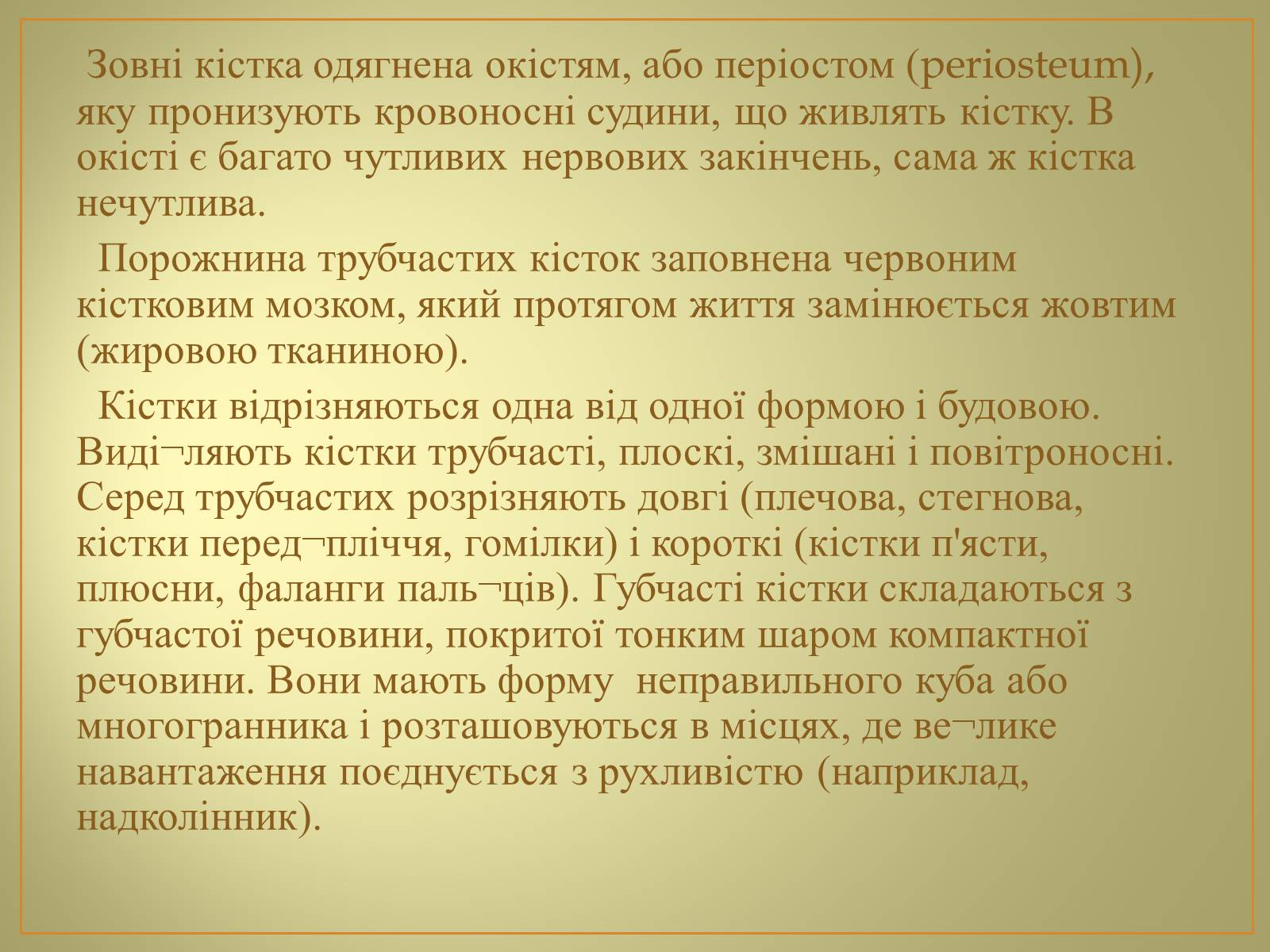 Презентація на тему «Будова та функції скелету людини» - Слайд #6 Презентація на тему «Будова та функції скелету людини» - Слайд #6