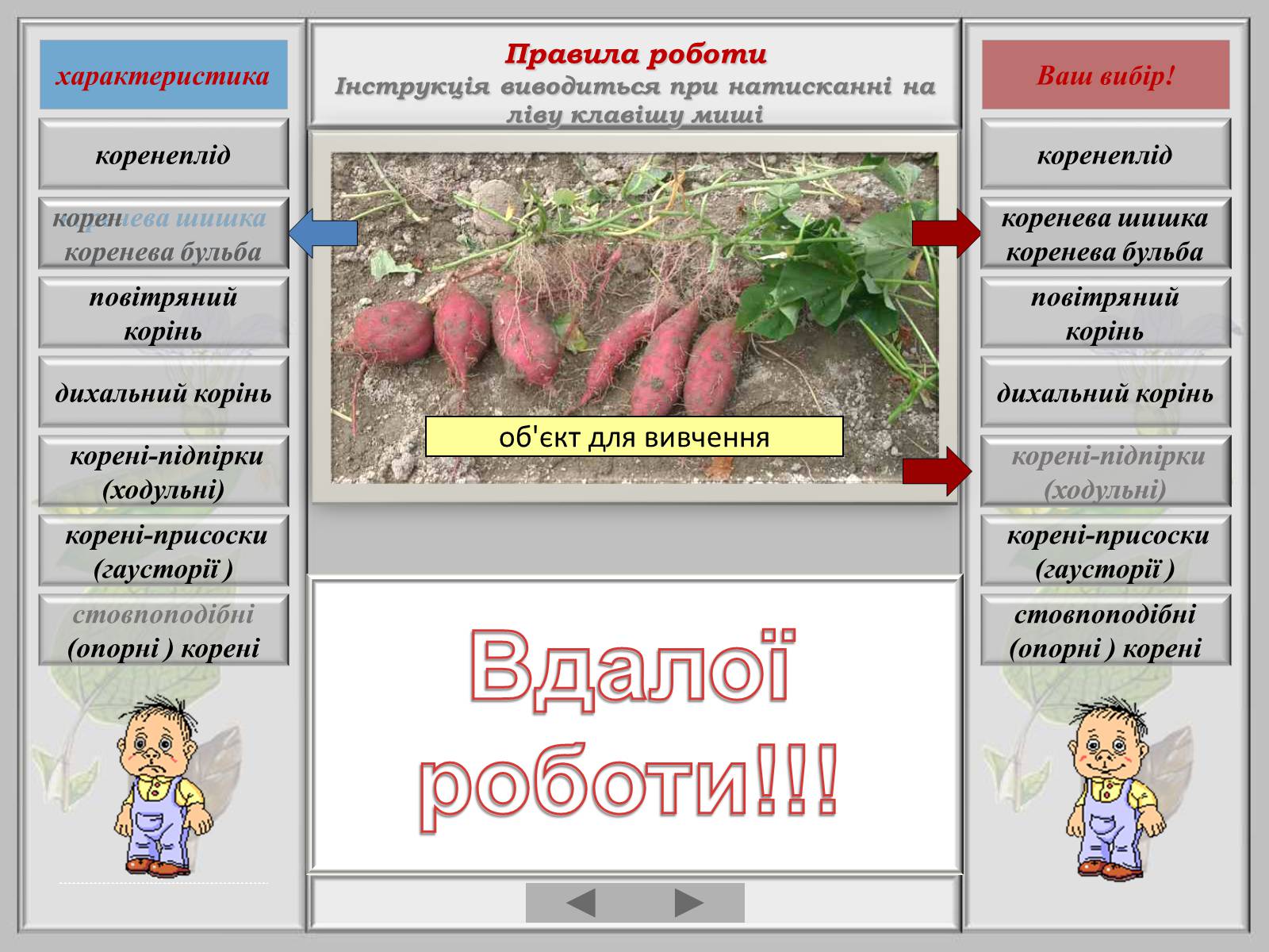 Презентація на тему «Видозміна коренів» - Слайд #2 Презентація на тему «Видозміна коренів» - Слайд #2