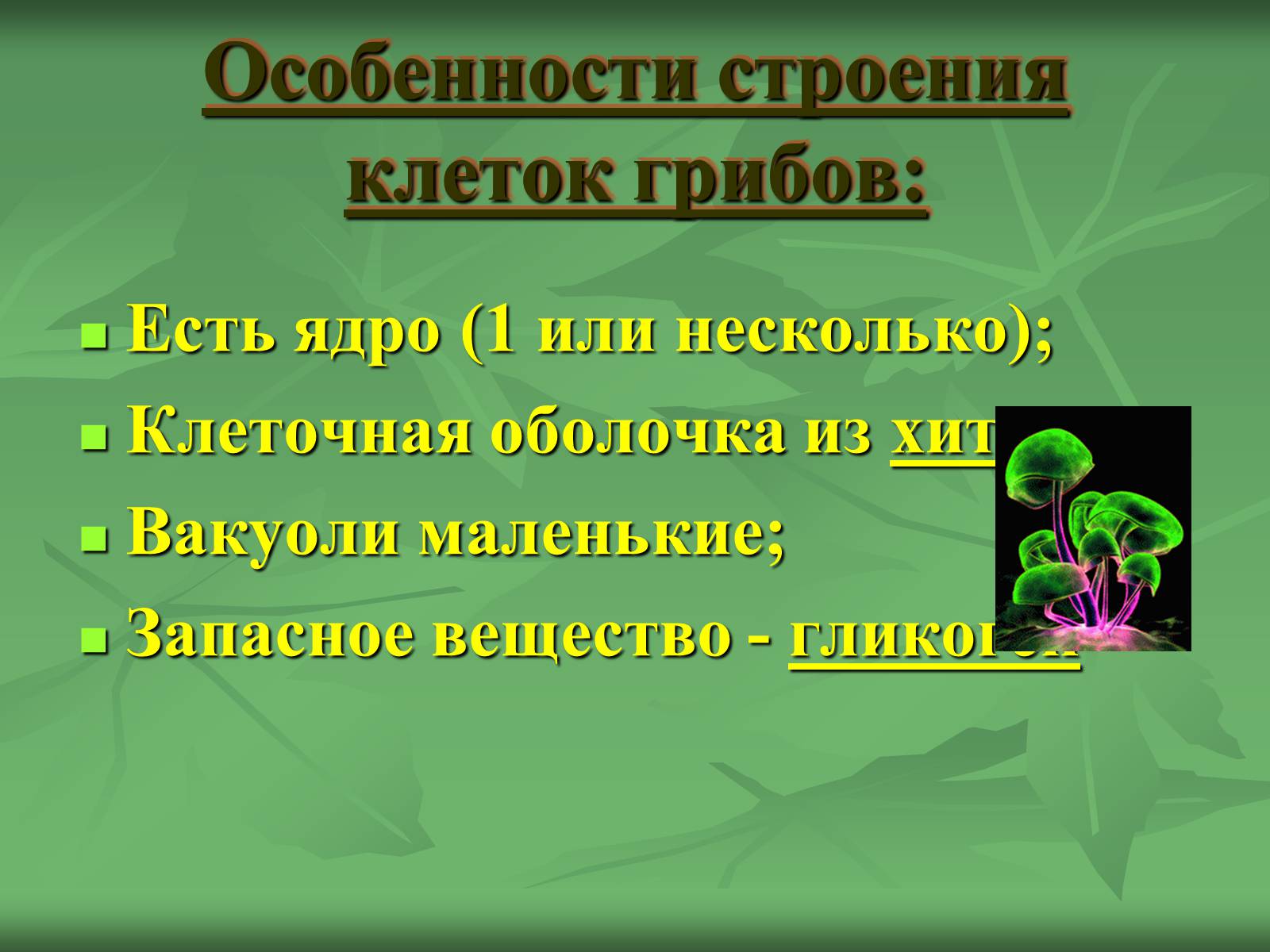 Презентація на тему «Царство Грибы» (варіант 3) - Слайд #3 Презентація на тему «Царство Грибы» (варіант 3) - Слайд #3