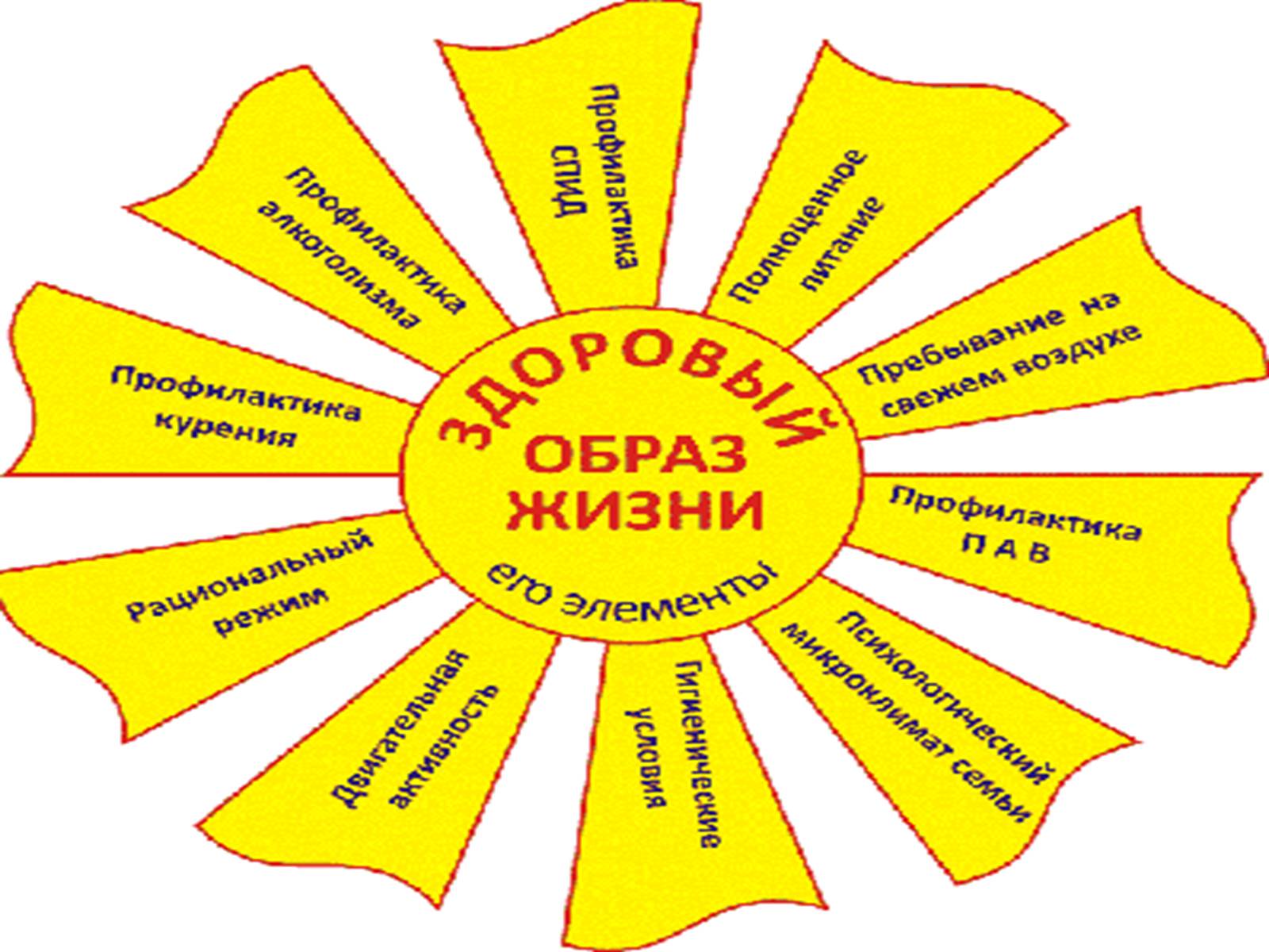 Презентація на тему «Факторы, влияющие на репродуктивное здоровье» - Слайд #13 Презентація на тему «Факторы, влияющие на репродуктивное здоровье» - Слайд #13