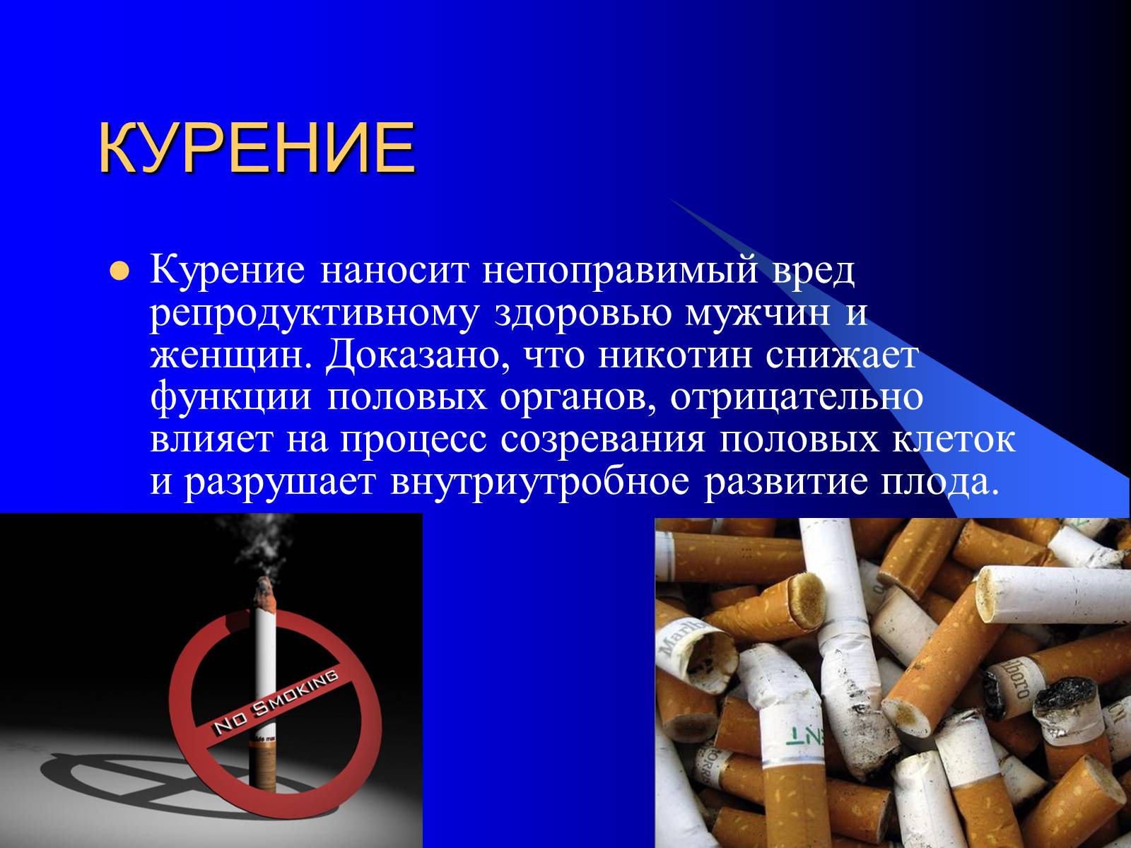 Презентація на тему «Факторы, влияющие на репродуктивное здоровье» - Слайд #4 Презентація на тему «Факторы, влияющие на репродуктивное здоровье» - Слайд #4
