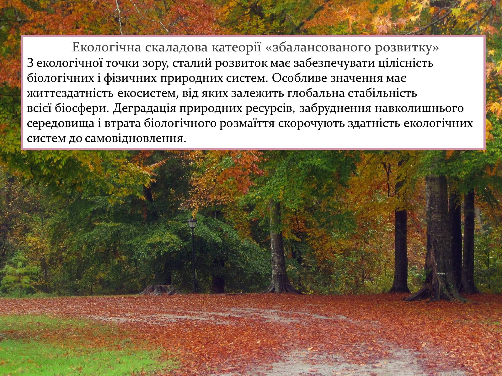 Презентація на тему «Найважливіші баланси у сфері природокористування. Збалансований розвиток» - Слайд #10 Презентація на тему «Найважливіші баланси у сфері природокористування. Збалансований розвиток» - Слайд #10