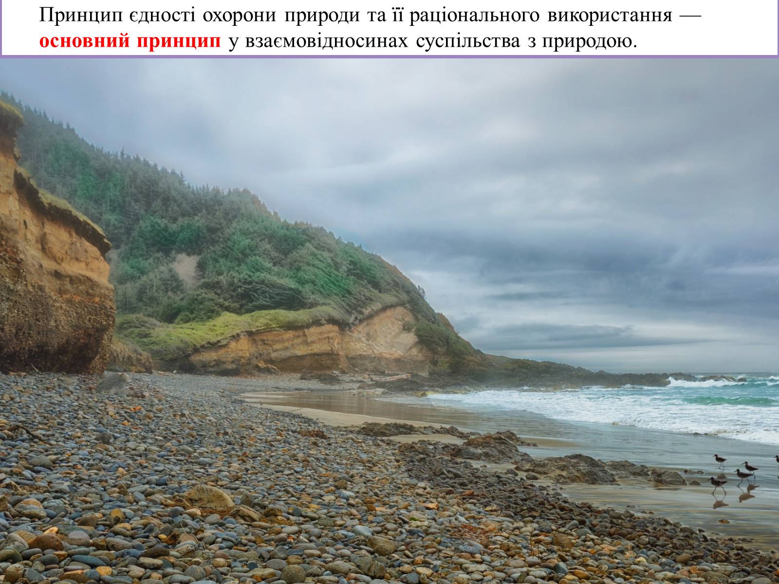 Презентація на тему «Найважливіші баланси у сфері природокористування. Збалансований розвиток» - Слайд #5 Презентація на тему «Найважливіші баланси у сфері природокористування. Збалансований розвиток» - Слайд #5