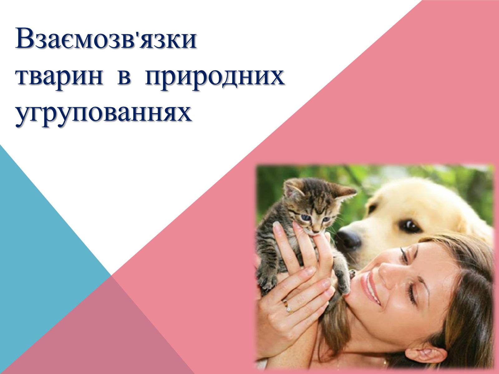 Презентація на тему «Взаємозв’язки тварин в природних угрупованнях» - Слайд #1 Презентація на тему «Взаємозв’язки тварин в природних угрупованнях» - Слайд #1