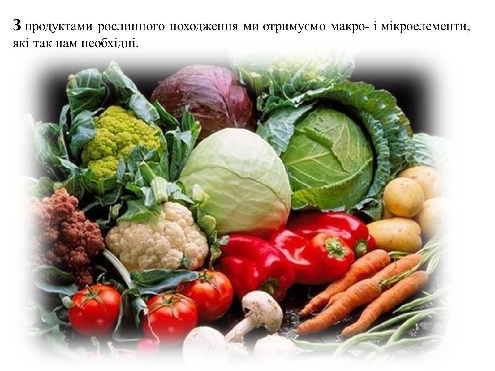 Презентація на тему «Гігєна Харчування» - Слайд #29 Презентація на тему «Гігєна Харчування» - Слайд #29