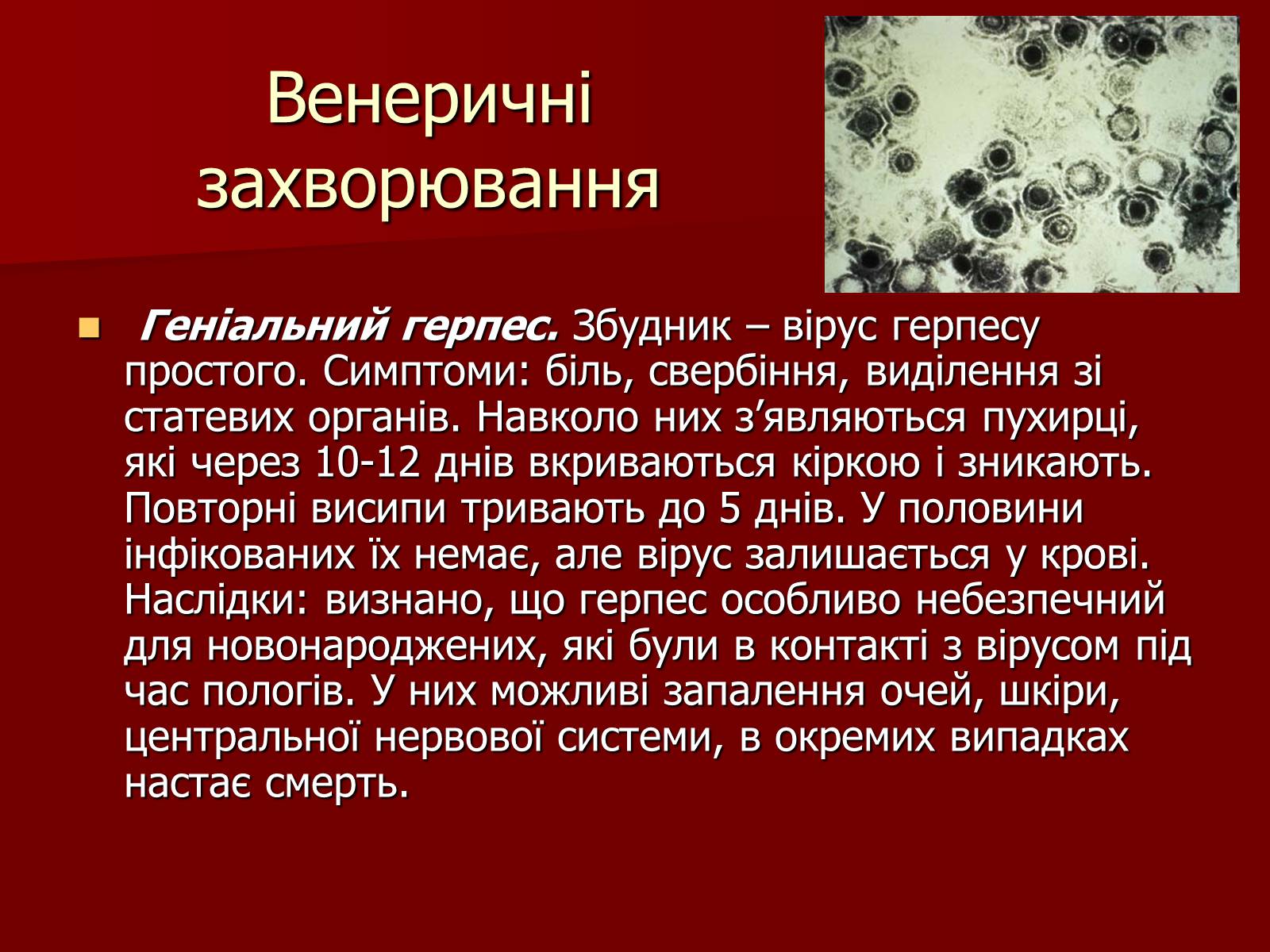 Презентація на тему «Ознаки фізіологічної та соціальної зрілості» - Слайд #15 Презентація на тему «Ознаки фізіологічної та соціальної зрілості» - Слайд #15