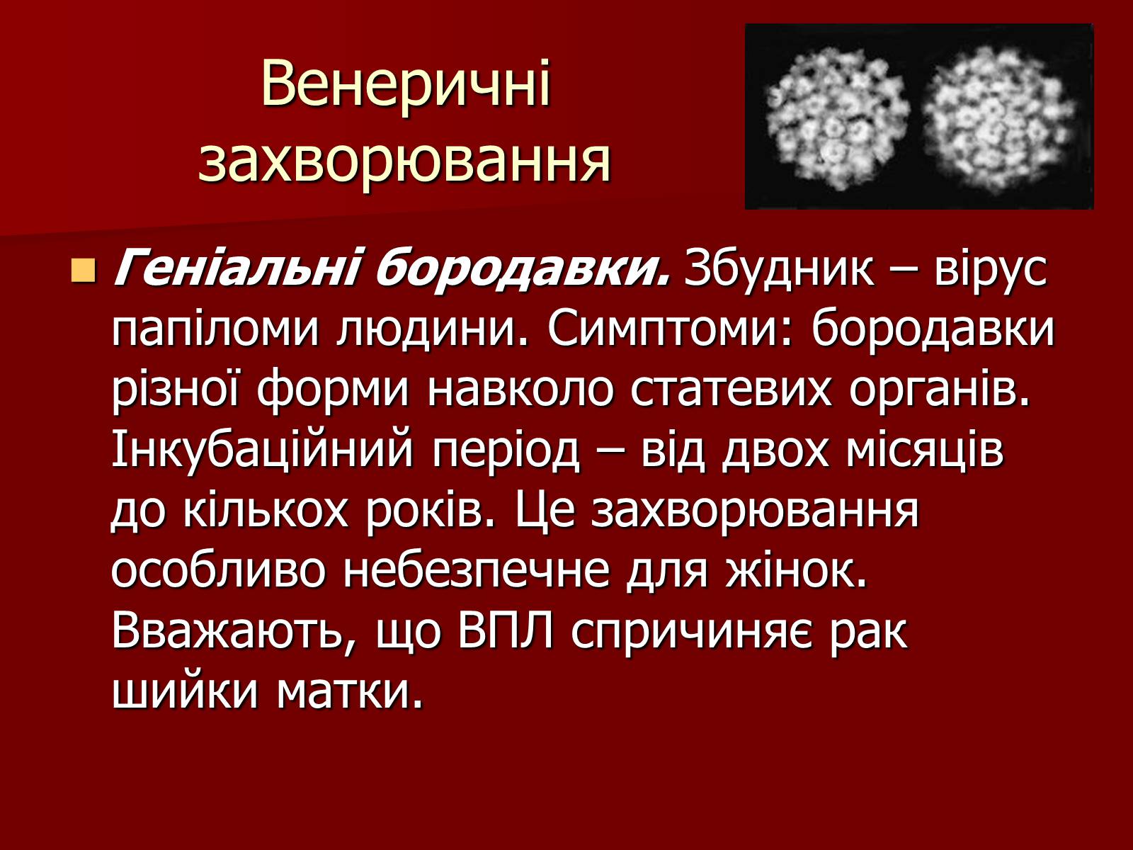 Презентація на тему «Ознаки фізіологічної та соціальної зрілості» - Слайд #16 Презентація на тему «Ознаки фізіологічної та соціальної зрілості» - Слайд #16