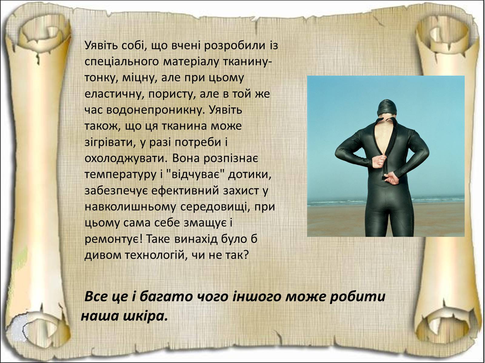 Презентація на тему «Будова і функції шкіри» - Слайд #3 Презентація на тему «Будова і функції шкіри» - Слайд #3