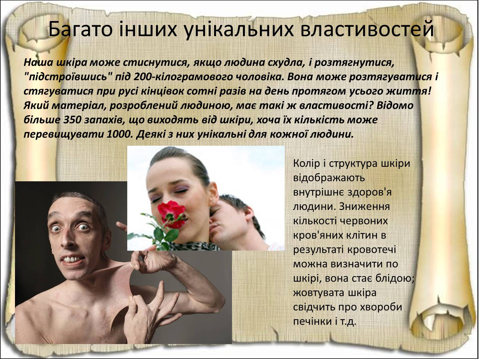 Презентація на тему «Будова і функції шкіри» - Слайд #33 Презентація на тему «Будова і функції шкіри» - Слайд #33
