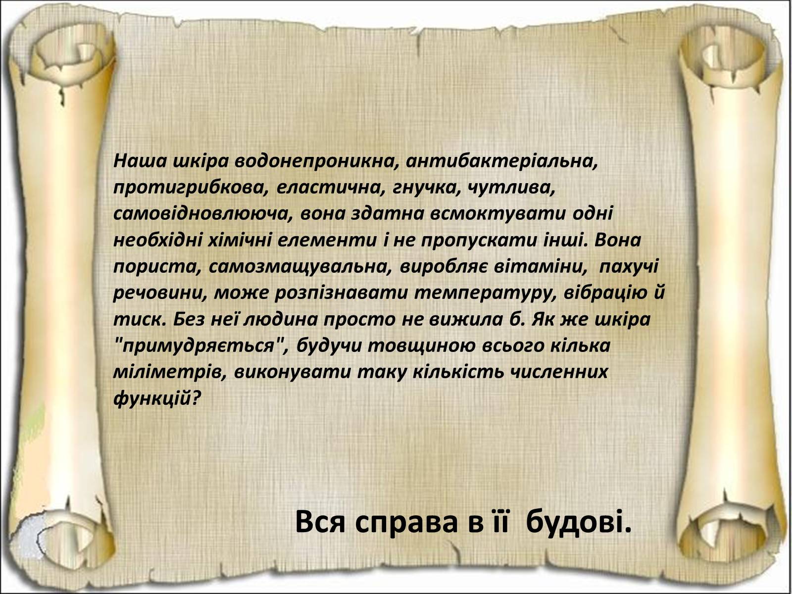 Презентація на тему «Будова і функції шкіри» - Слайд #6 Презентація на тему «Будова і функції шкіри» - Слайд #6
