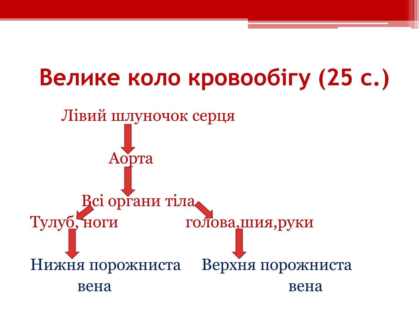 Презентація на тему «Кровообіг. Функції серця» - Слайд #6 Презентація на тему «Кровообіг. Функції серця» - Слайд #6