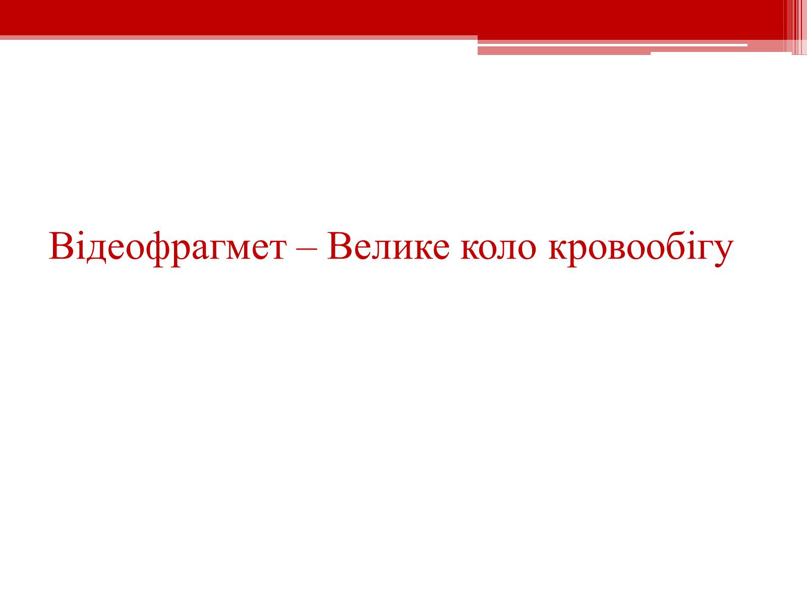 Презентація на тему «Кровообіг. Функції серця» - Слайд #8 Презентація на тему «Кровообіг. Функції серця» - Слайд #8