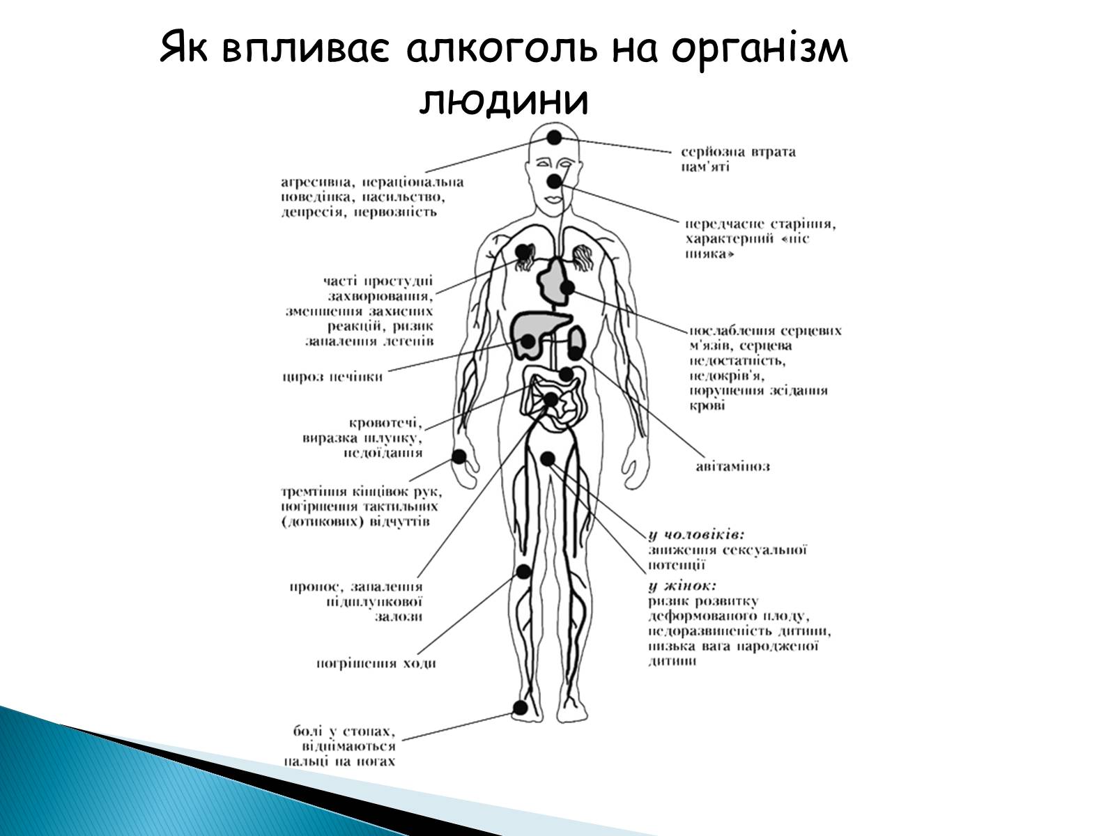 Презентація на тему «Вплив алкоголю на здоров’я підлітка» (варіант 2) - Слайд #3 Презентація на тему «Вплив алкоголю на здоров’я підлітка» (варіант 2) - Слайд #3
