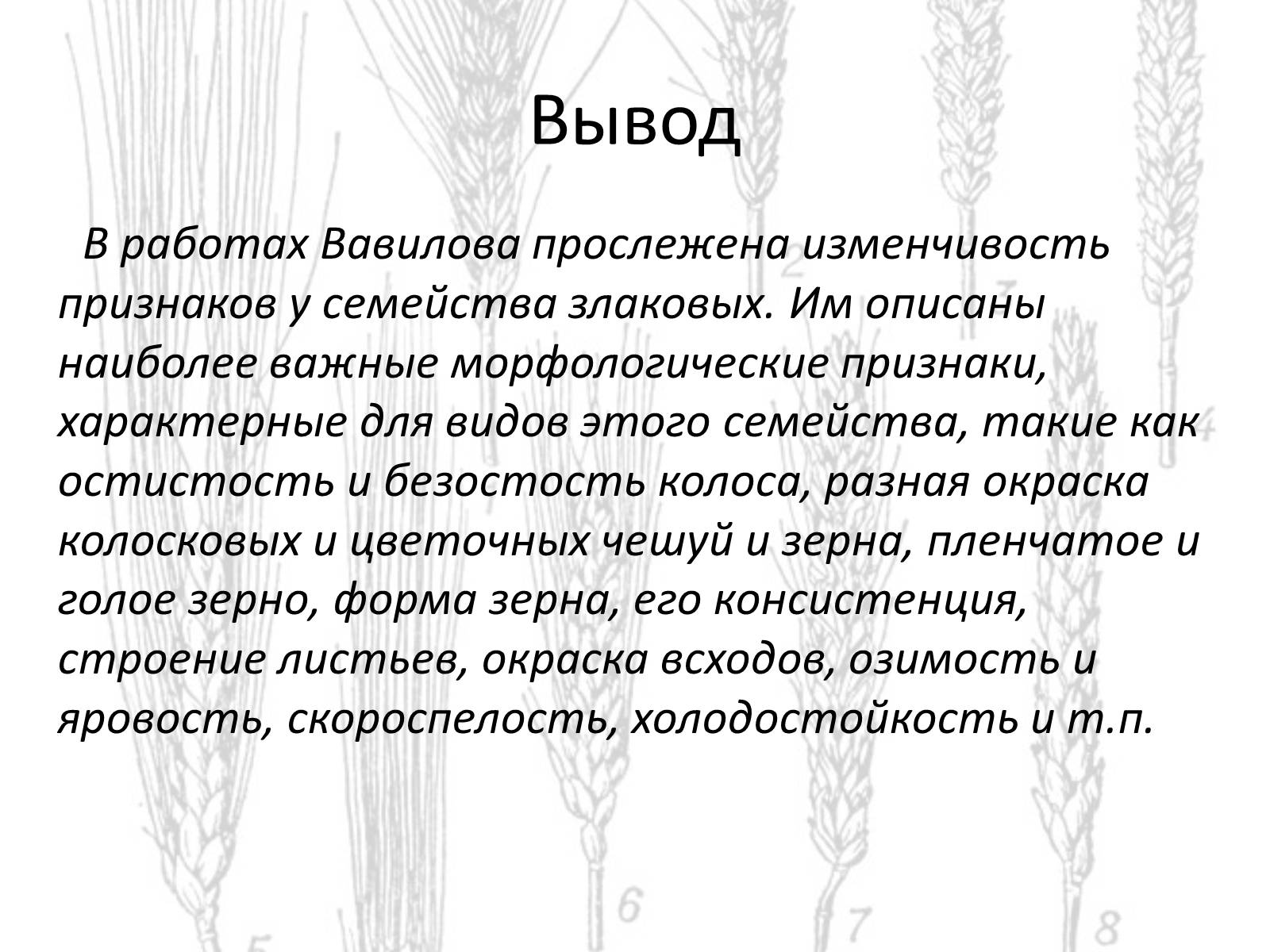 Презентація на тему «Закон гомологических рядов Вавилова» - Слайд #12 Презентація на тему «Закон гомологических рядов Вавилова» - Слайд #12