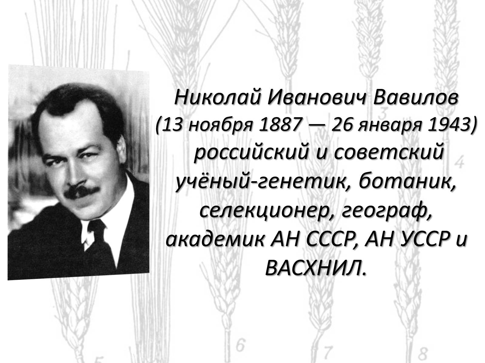 Презентація на тему «Закон гомологических рядов Вавилова» - Слайд #2 Презентація на тему «Закон гомологических рядов Вавилова» - Слайд #2