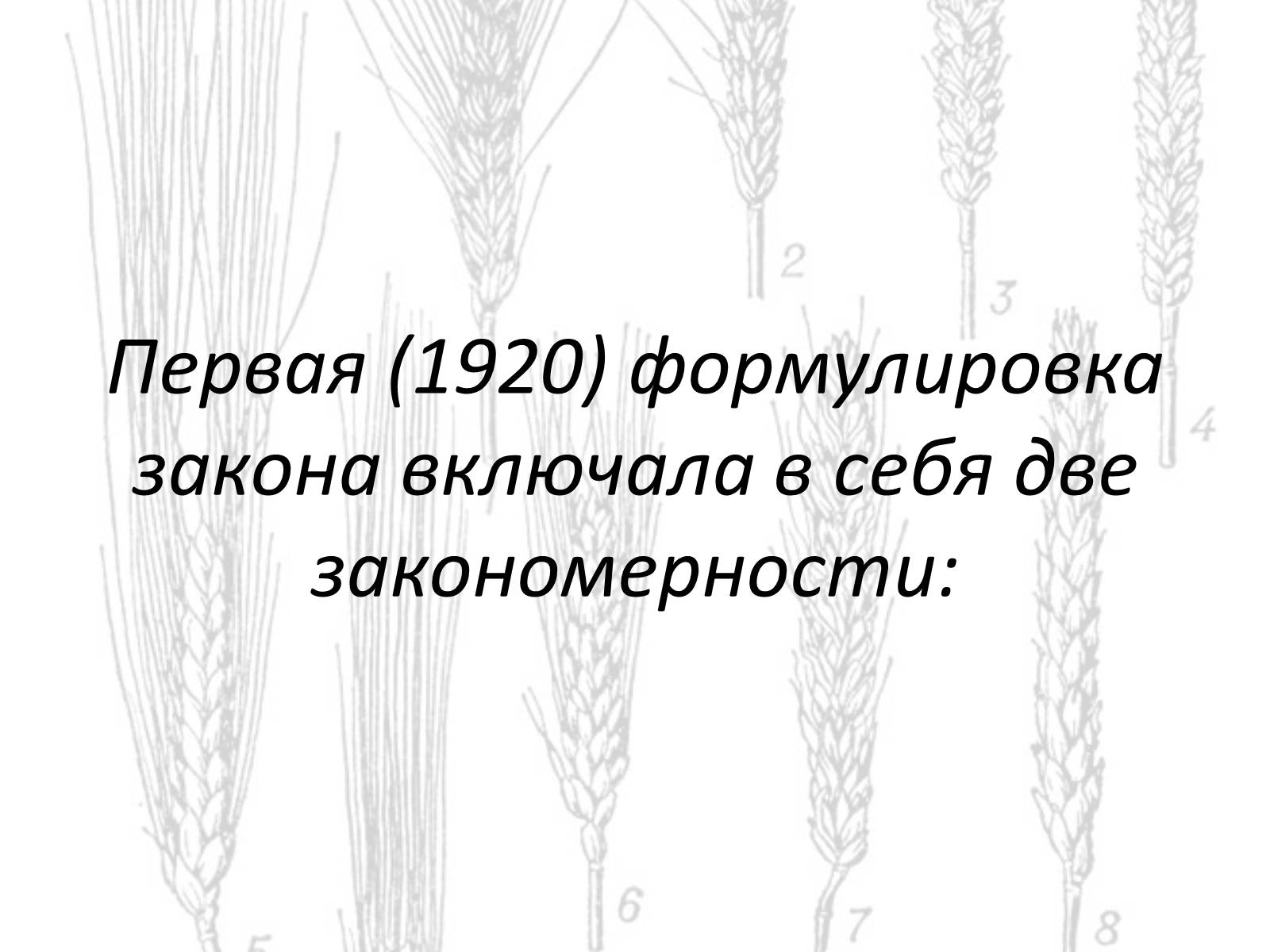 Презентація на тему «Закон гомологических рядов Вавилова» - Слайд #4 Презентація на тему «Закон гомологических рядов Вавилова» - Слайд #4