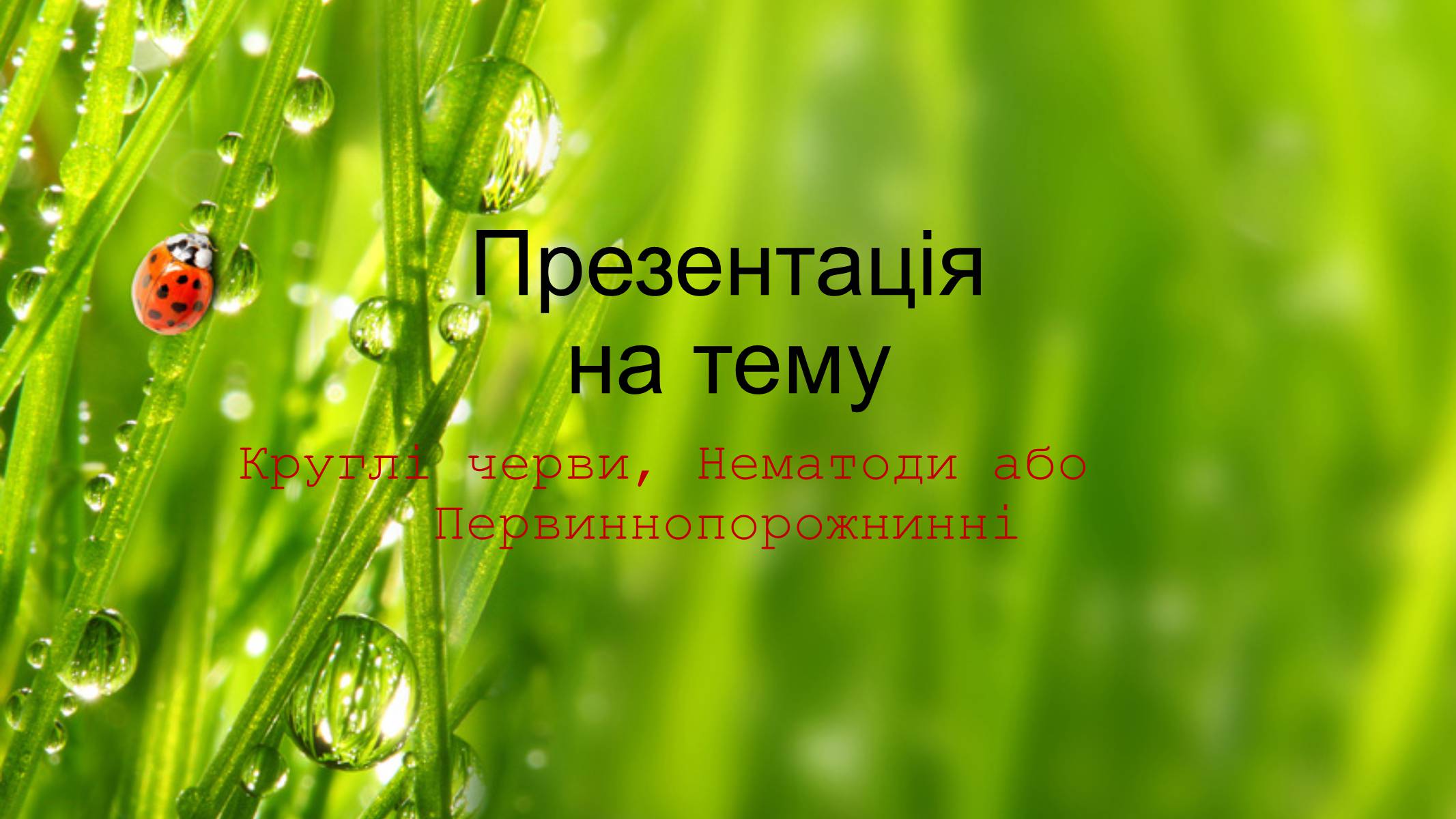 Презентація на тему «Круглі черви» - Слайд #1 Презентація на тему «Круглі черви» - Слайд #1