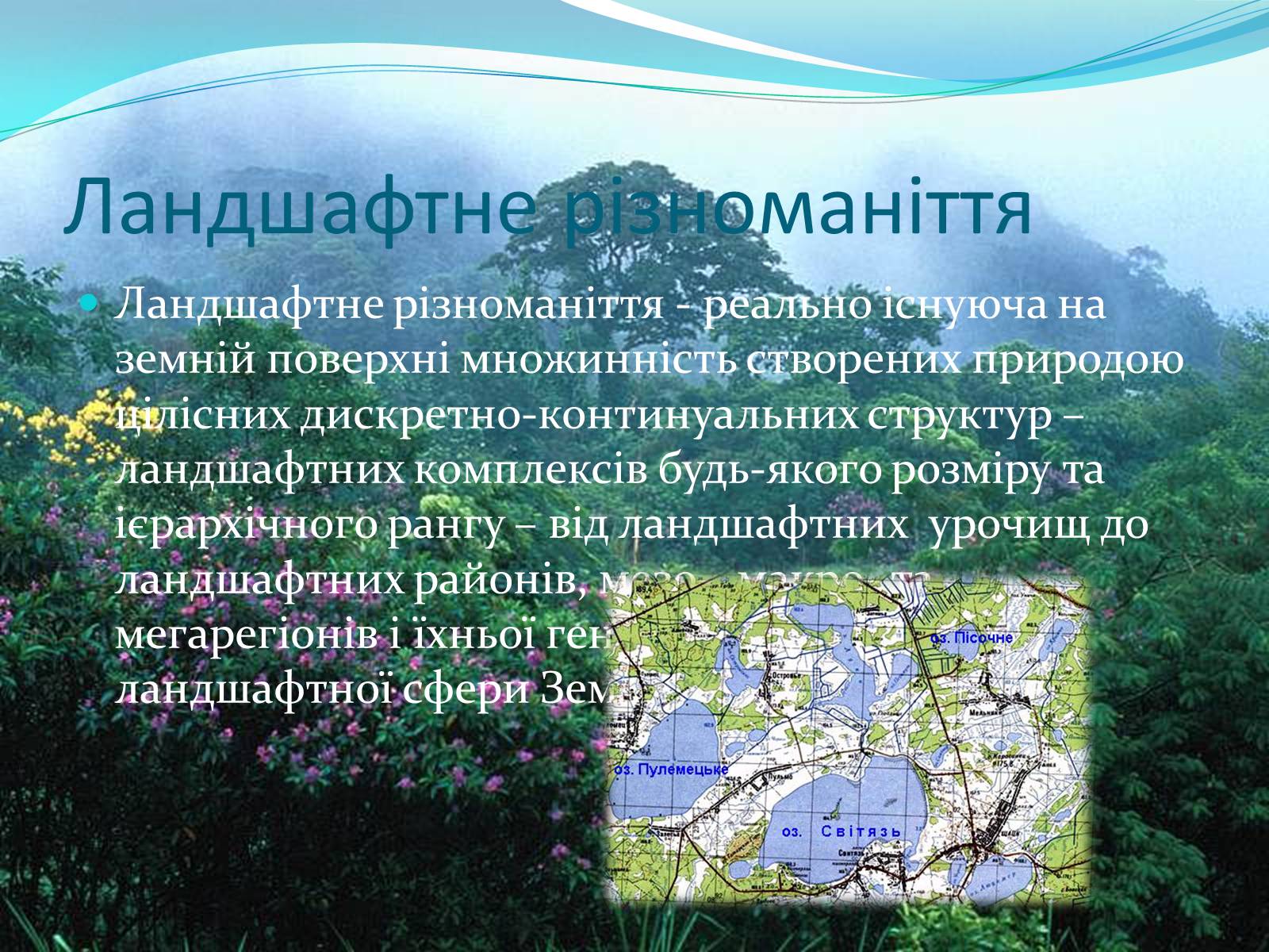 Презентація на тему «Біорізноманіття. Генетичне, видове і екосистемне різноманіття» - Слайд #20 Презентація на тему «Біорізноманіття. Генетичне, видове і екосистемне різноманіття» - Слайд #20