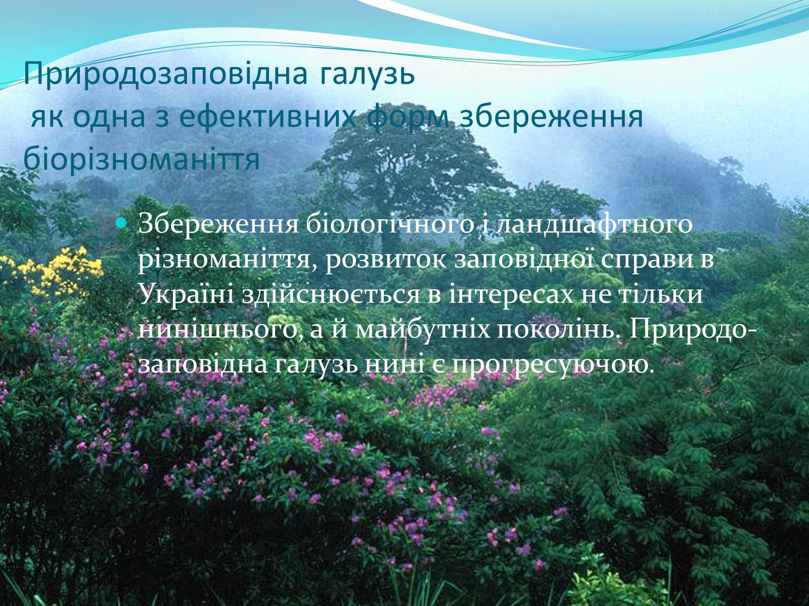 Презентація на тему «Біорізноманіття. Генетичне, видове і екосистемне різноманіття» - Слайд #25 Презентація на тему «Біорізноманіття. Генетичне, видове і екосистемне різноманіття» - Слайд #25