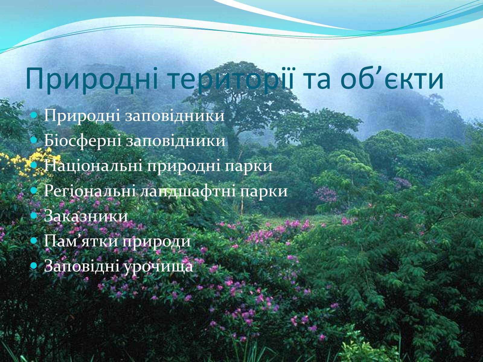 Презентація на тему «Біорізноманіття. Генетичне, видове і екосистемне різноманіття» - Слайд #27 Презентація на тему «Біорізноманіття. Генетичне, видове і екосистемне різноманіття» - Слайд #27