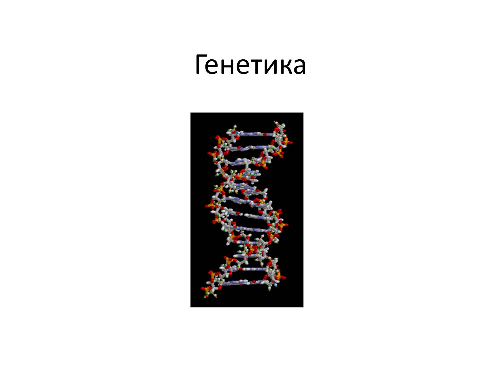 Презентація на тему «Генетика» (варіант 10) - Слайд #1 Презентація на тему «Генетика» (варіант 10) - Слайд #1