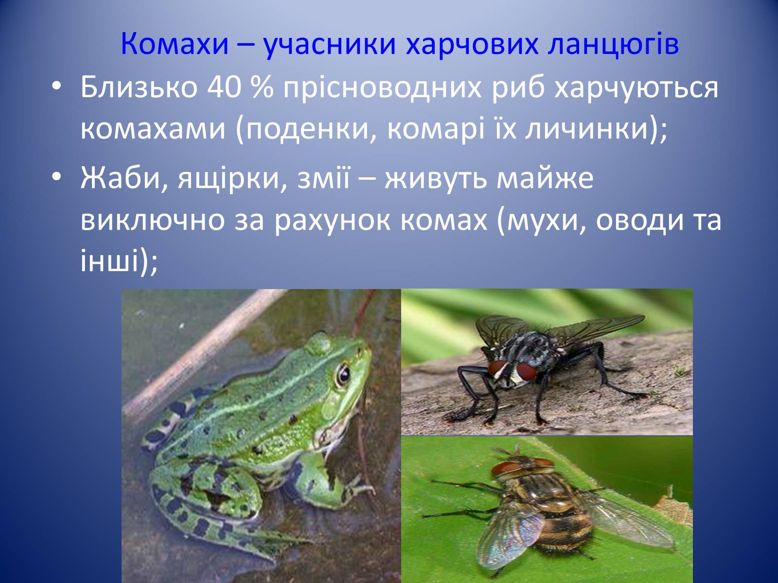 Презентація на тему «Значення комах в природі та житті людини» - Слайд #4 Презентація на тему «Значення комах в природі та житті людини» - Слайд #4