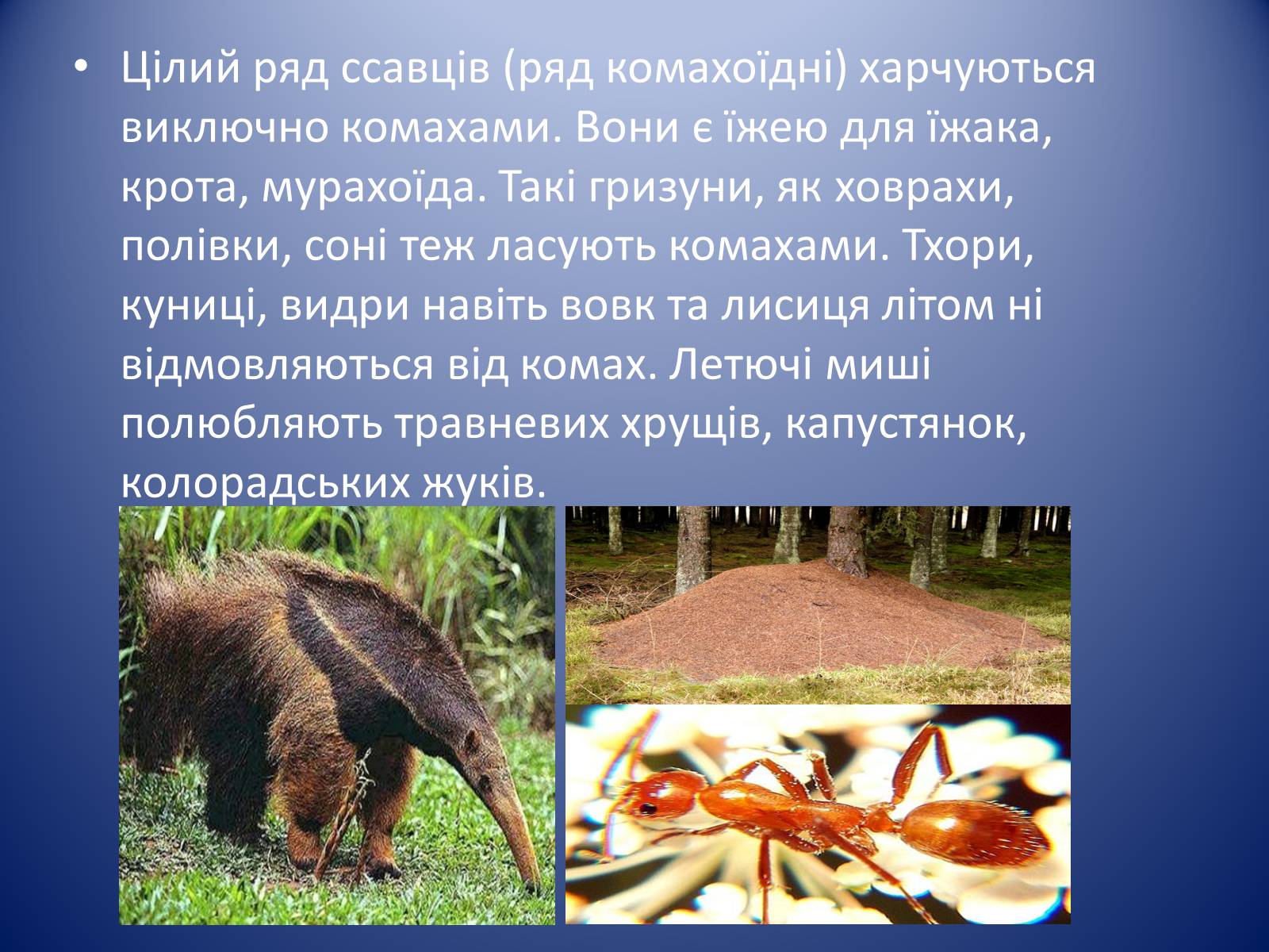 Презентація на тему «Значення комах в природі та житті людини» - Слайд #6 Презентація на тему «Значення комах в природі та житті людини» - Слайд #6