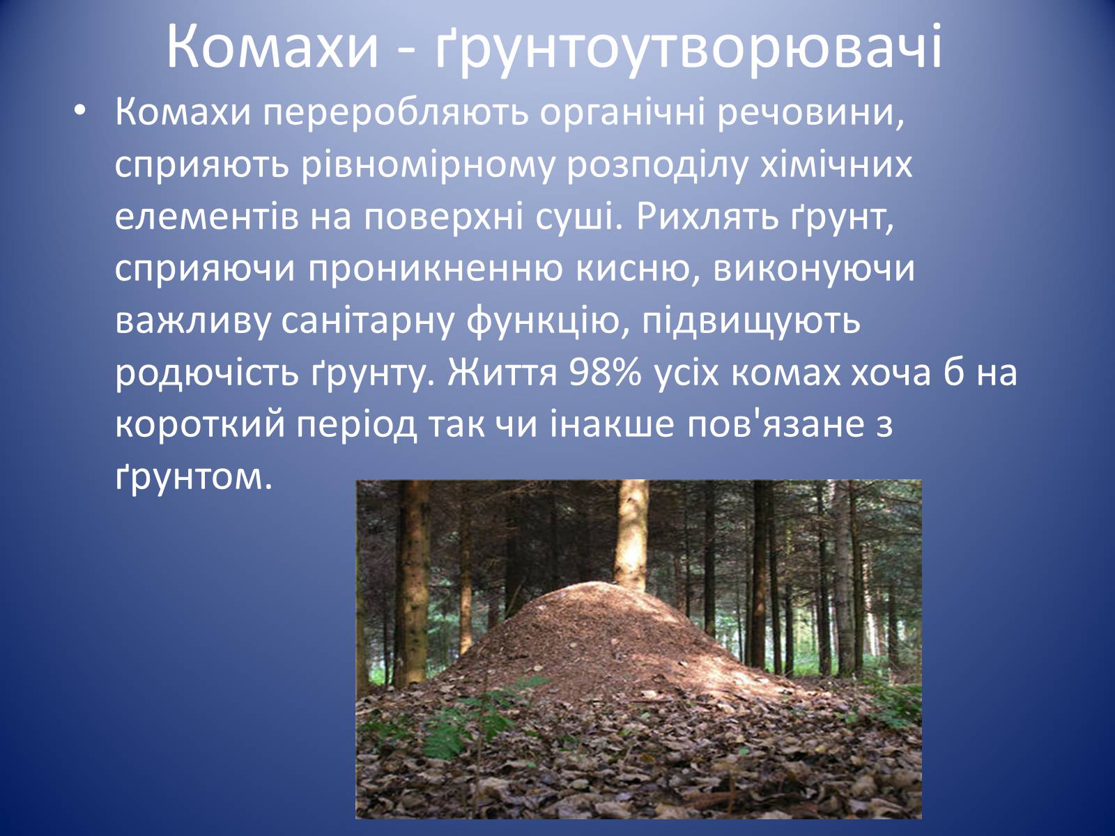Презентація на тему «Значення комах в природі та житті людини» - Слайд #9 Презентація на тему «Значення комах в природі та житті людини» - Слайд #9