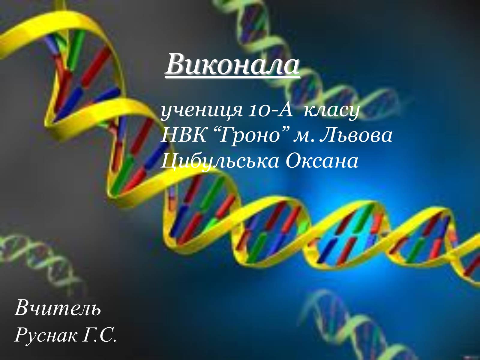 Презентація на тему «Будова, властивості та функції ДНК» - Слайд #13 Презентація на тему «Будова, властивості та функції ДНК» - Слайд #13