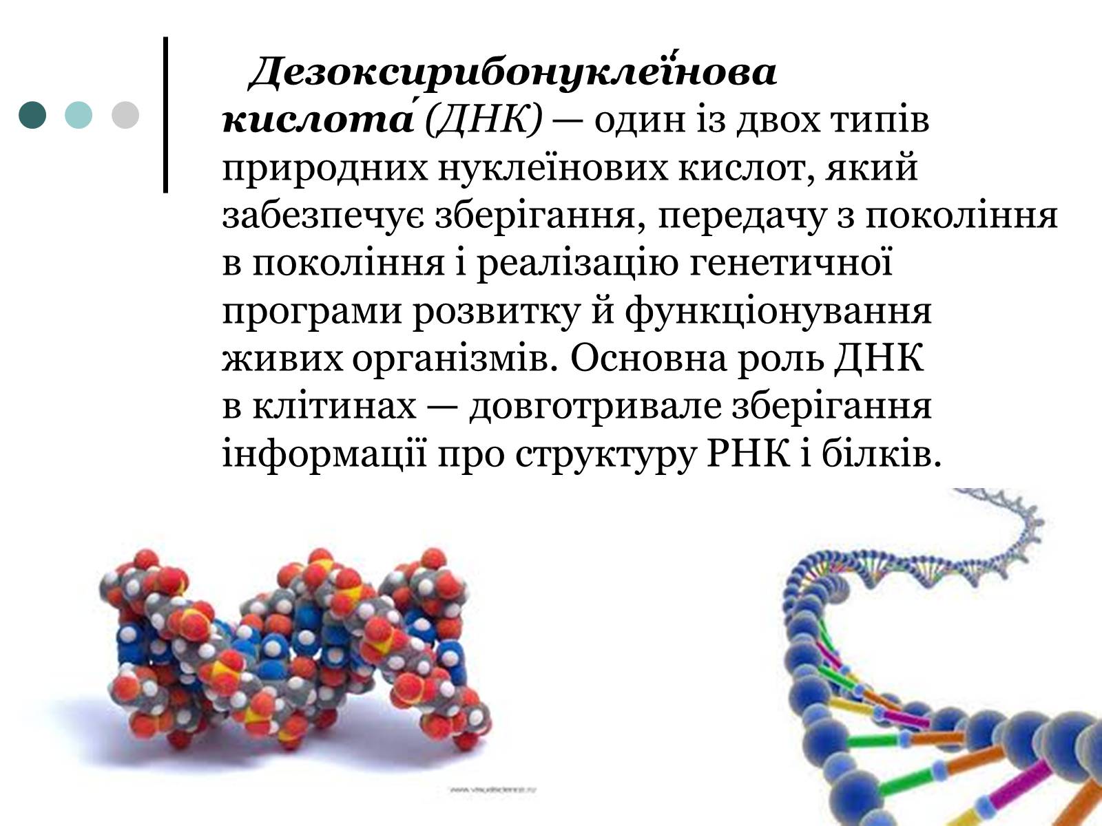 Презентація на тему «Будова, властивості та функції ДНК» - Слайд #2 Презентація на тему «Будова, властивості та функції ДНК» - Слайд #2
