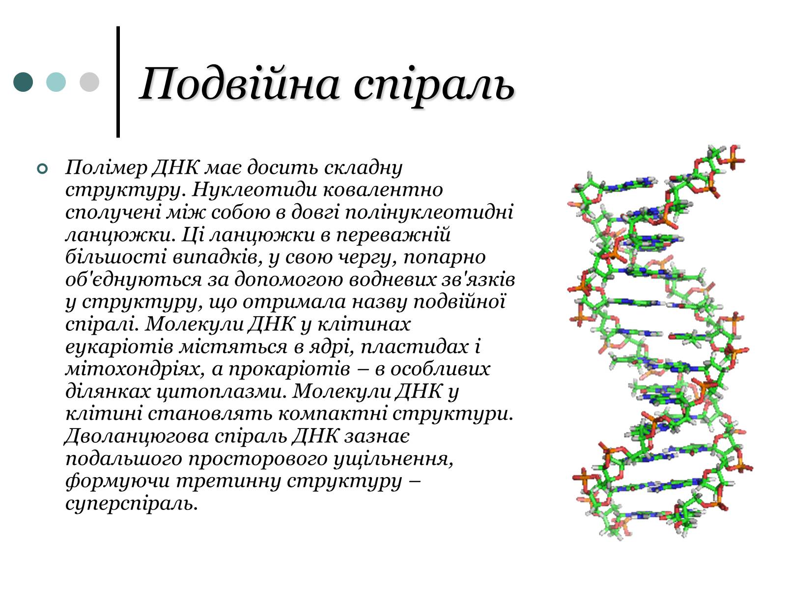 Презентація на тему «Будова, властивості та функції ДНК» - Слайд #3 Презентація на тему «Будова, властивості та функції ДНК» - Слайд #3